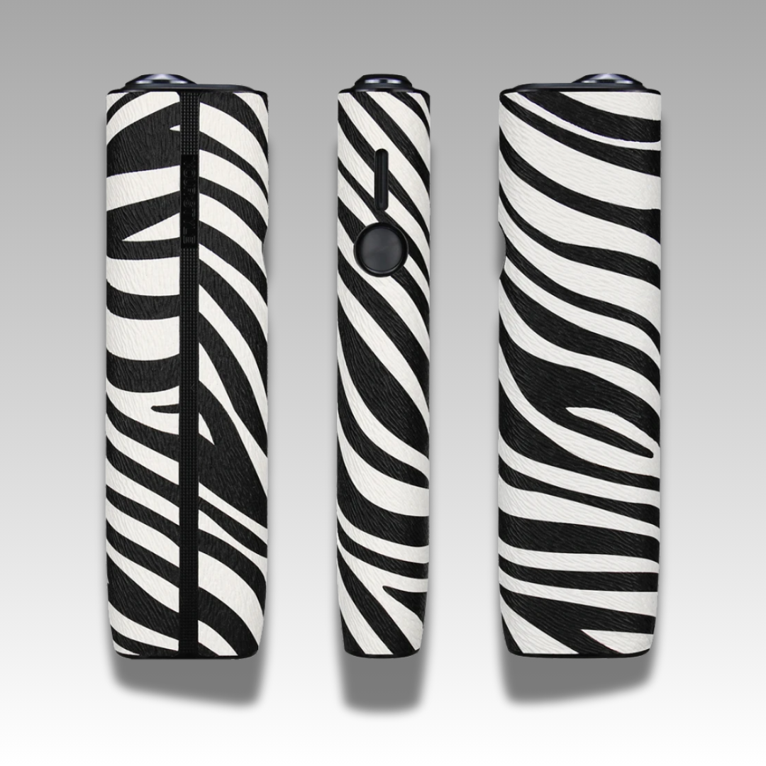 Zebra solo