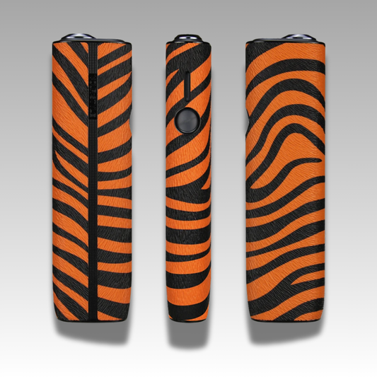 Zebra solo