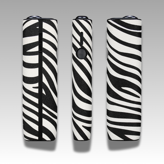 Zebra solo